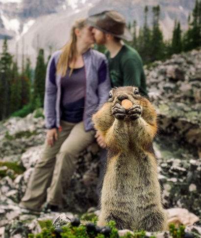 1. The Photobombing Squirrel