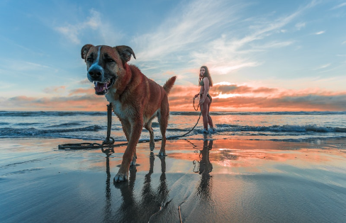 A Picture-Perfect Moment