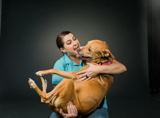 Capture Your Furry Friend's Personality
