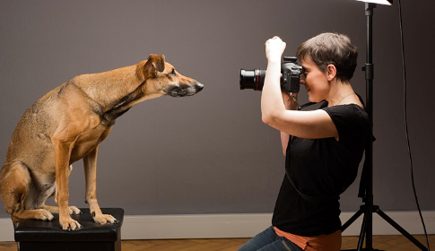 Capturing Emotion