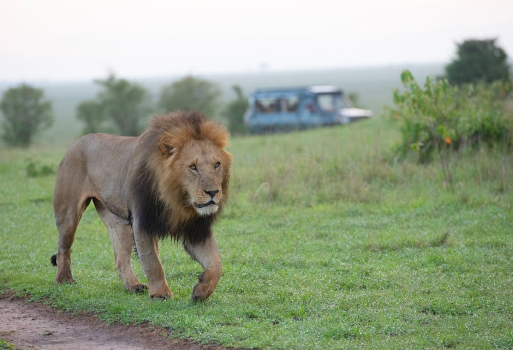 Capturing the Essence