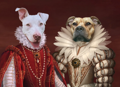 Capturing the Spirit of Furry Friends