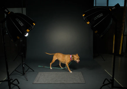 Creating a set for the shoot