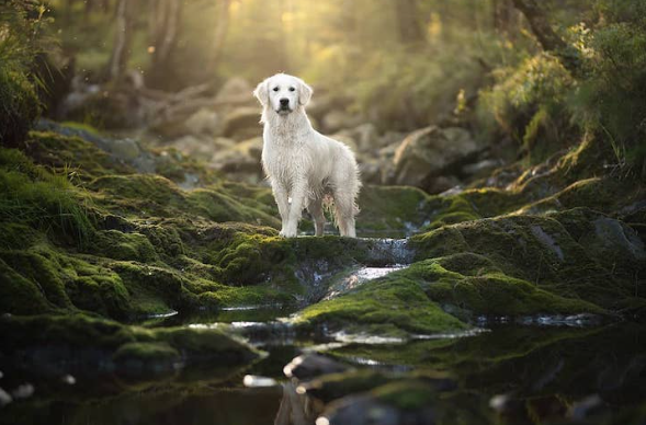 Embracing the Beauty of Nature