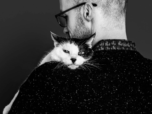 Experienced Pet Photographers