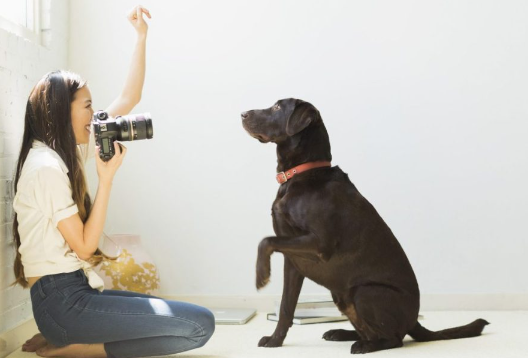 How to Find the Right Pet-Friendly Photographer