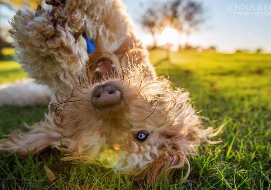 Meeting the photographer