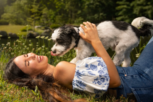 Pet-Friendly Event