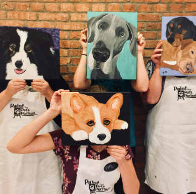 Pet Portrait Events