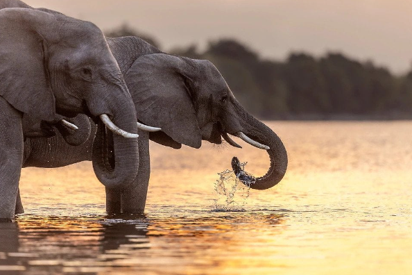 Post-processing for the perfect shot