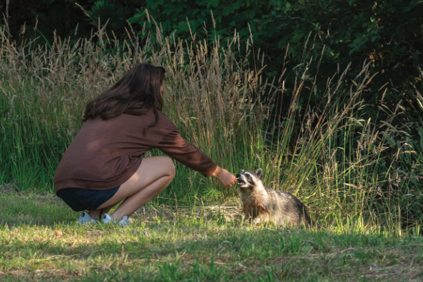Sharing Your Work