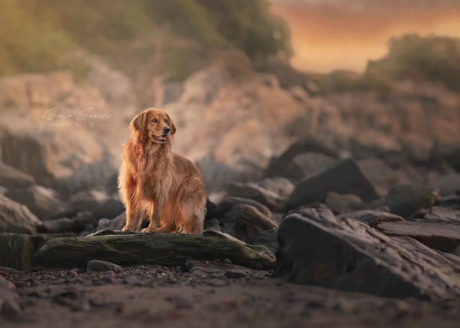 Stunning Portraits that Stand Out