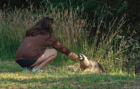 The Impact of Animal Photography