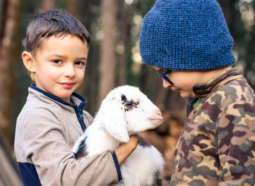 Tips for Including Pets in Your Family Portraits