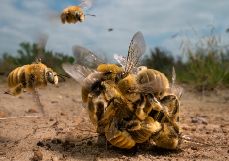 best wildlife photos 2022