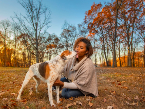 pet and owner photoshoot near me