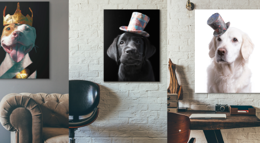 pet photography business