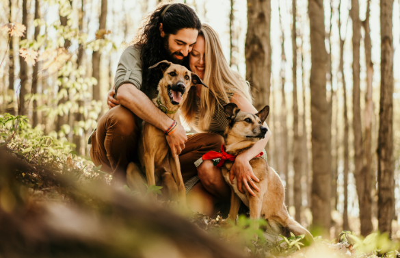 pet photoshoot