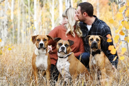 pet and family photography