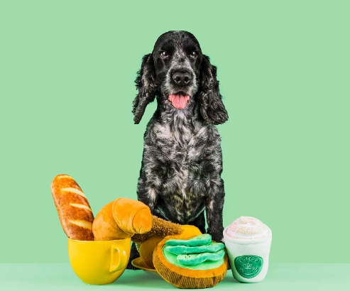 pet product photography