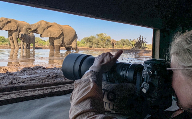 A Focus on Conservation