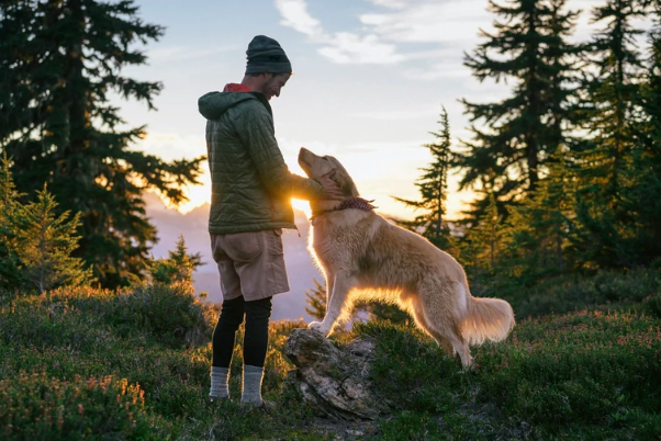 A Reminder of the Bond Between Humans and Dogs