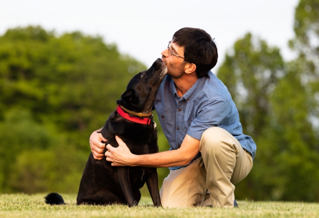Building a Connection with the Pet
