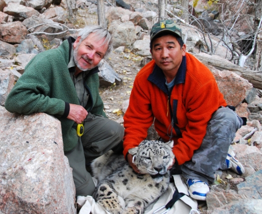 Conservation Efforts