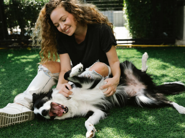 Furry Friends Having Fun