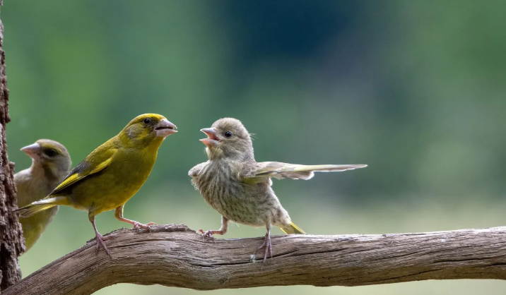 Hilarious Moments Captured