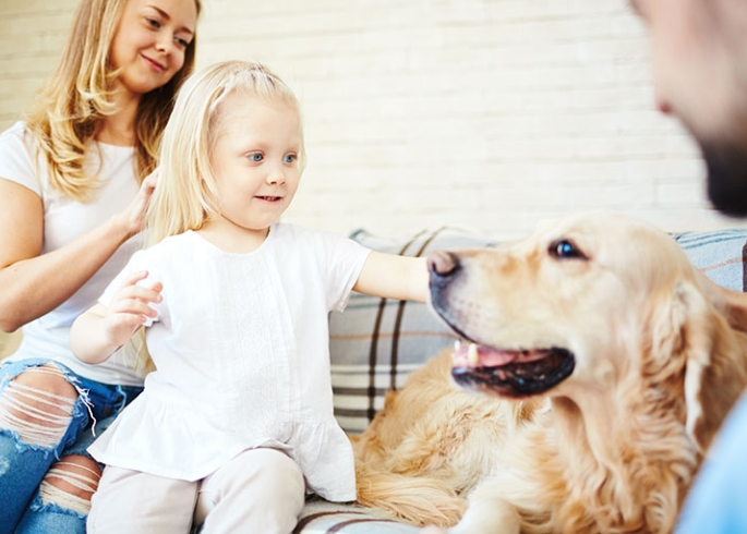 Pets add an extra level of cuteness to family photos