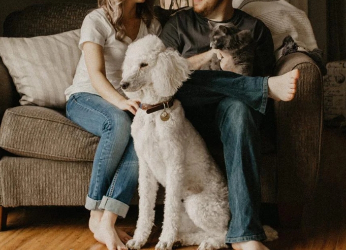 Pets are a part of the family