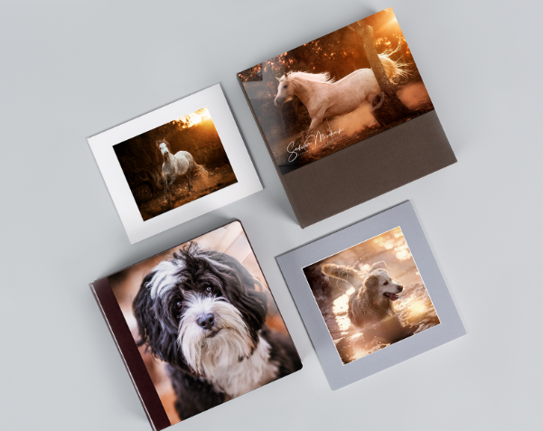 Prints and Products