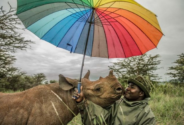 Protecting the Environment