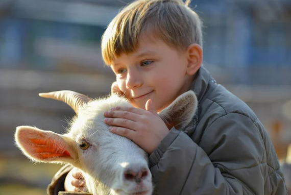 Respect the Animals