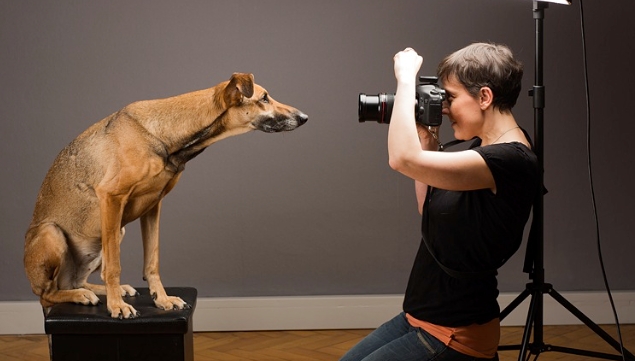 The Art of Editing and Presenting the Final Images