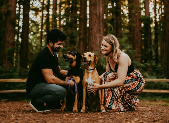 The Beauty of Family Photography with Pets
