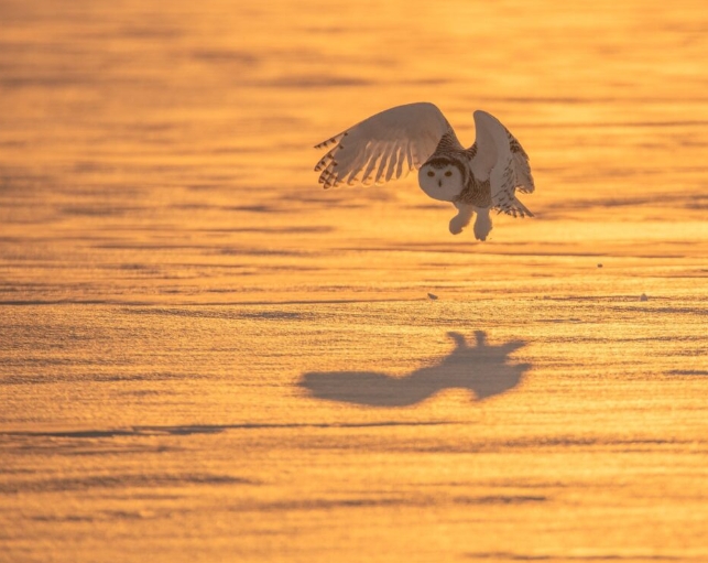 The importance of light