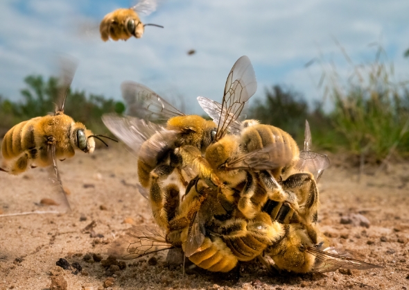 animal photo of the year 2022