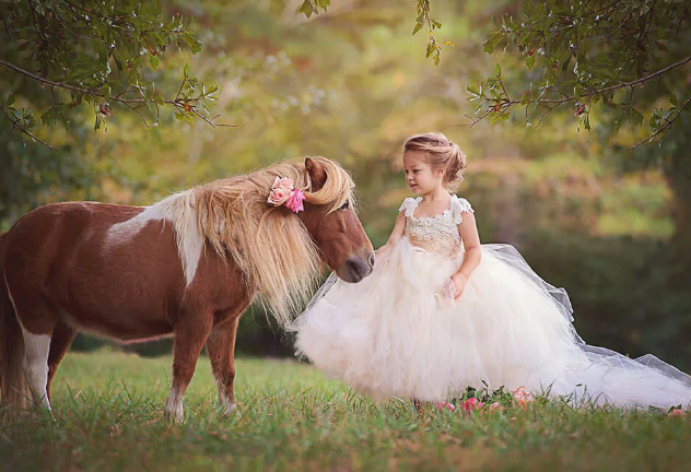 animal photoshoot
