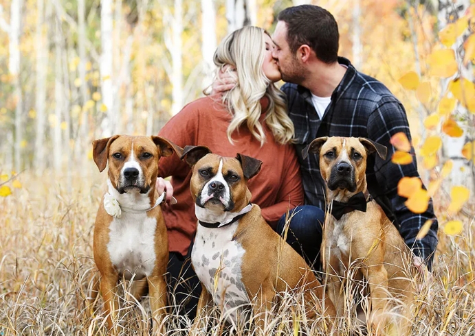 family photography with pets
