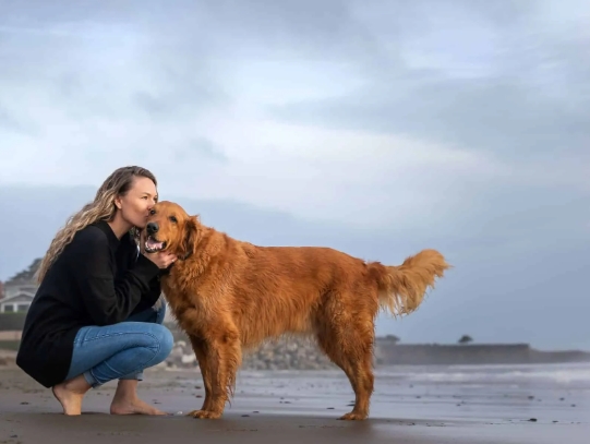 local pet photographers