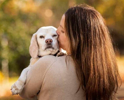 animal and human photography