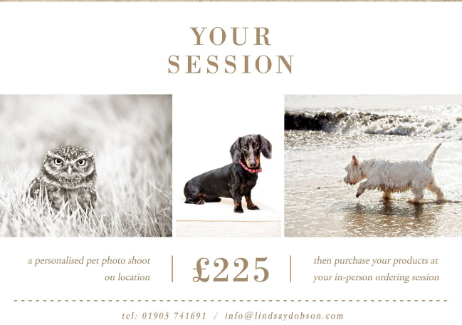 pet photography prices