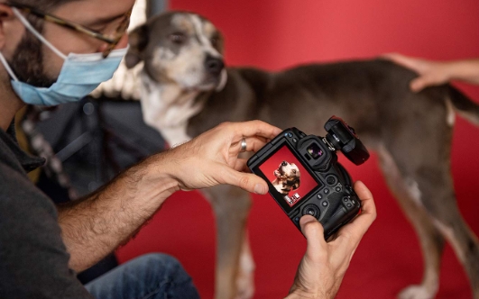 animal rescue photography