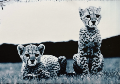 A Powerful Intersection of Art and Nature