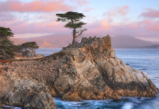 A Unique Investment Opportunity