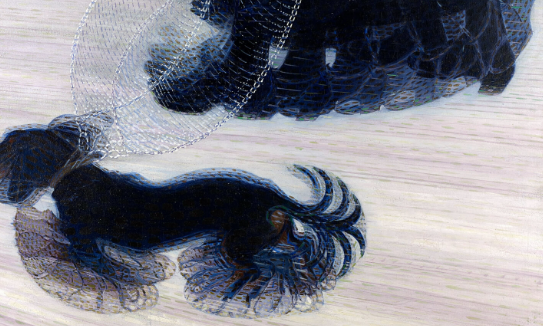 An Introduction to Dog Photo Art