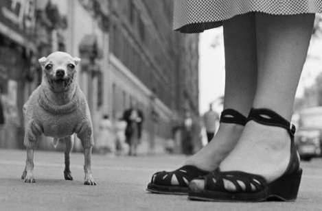 Capturing Life's Quirks