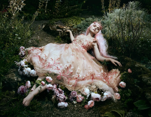 Exploring the World of Artwork Photography